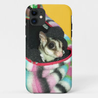 Sugar Glider Wearing a Hat