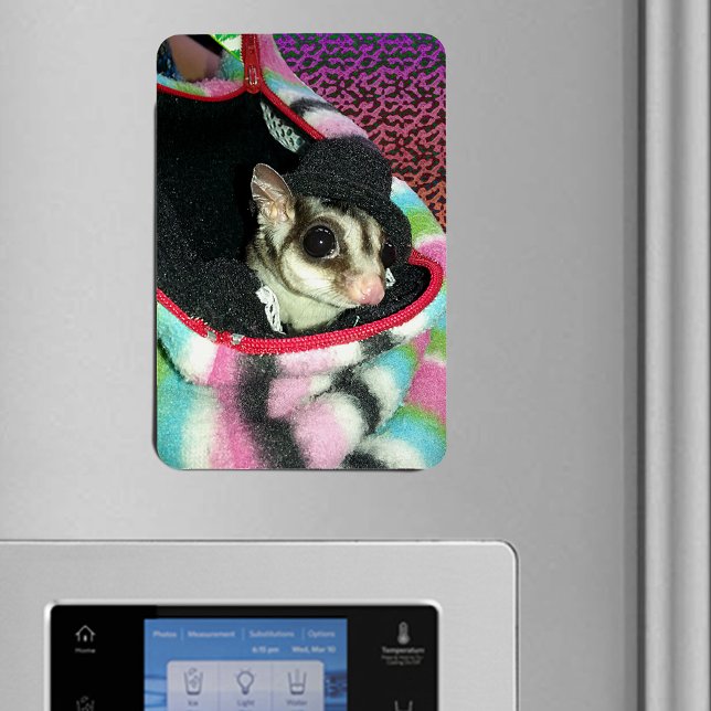 Sugar Glider Wearing a Hat Flexible Magnet (Sugar Glider Wearing a Hat Flexible Magnet)