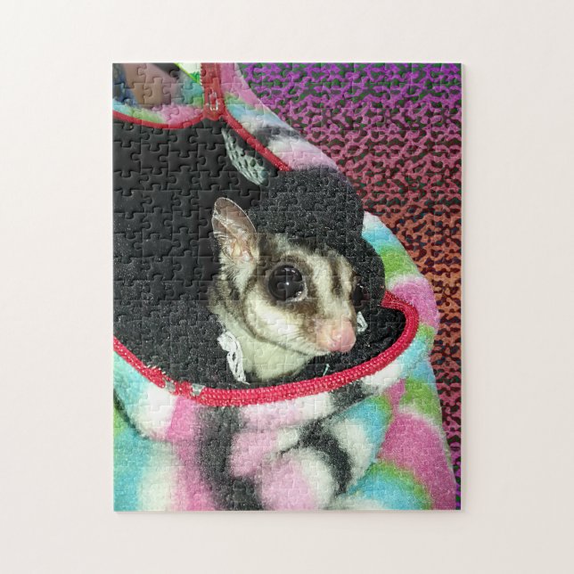 Sugar Glider Wearing a Hat Jigsaw Puzzle (Vertical)