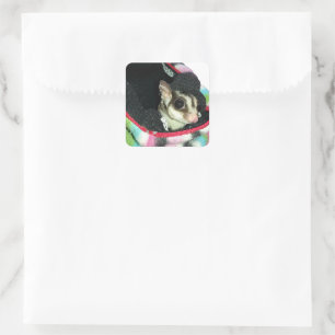 Sugar Glider Wearing a Hat Square Sticker