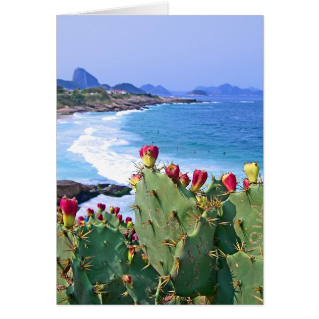Sugar Loaf, Rio de Janeiro, Brazil (Front)