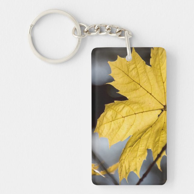 Sugar maple, fall keychain (Front)
