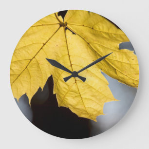 Sugar maple, fall large clock