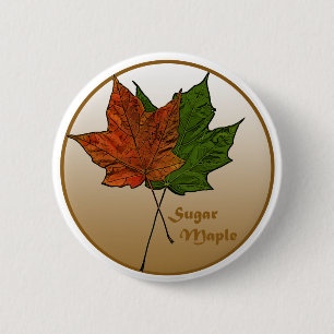 Sugar Maple Tree 2 Inch Round Button