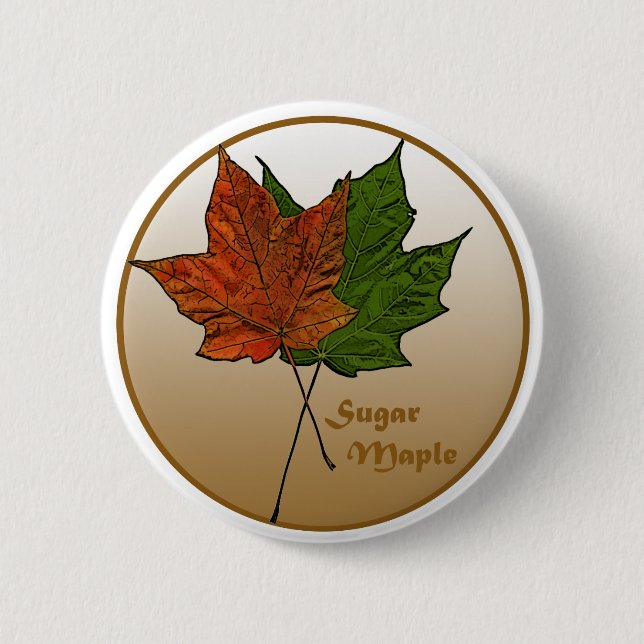 Sugar Maple Tree 2 Inch Round Button (Front)