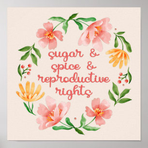 Sugar & Spice & Reproductive Rights III Poster
