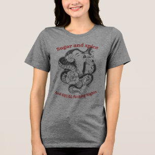 Sugar & Spice T-Shirt Tri-Blend Shirt