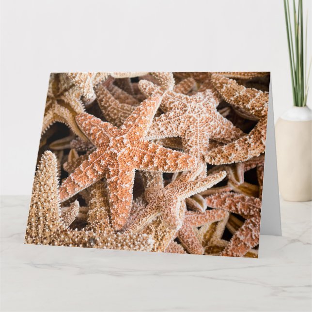 Sugar Starfish Big Greeting Card (Front)