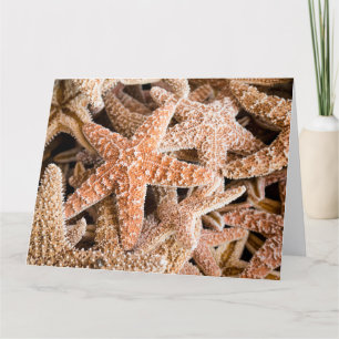 Sugar Starfish Big Greeting Card
