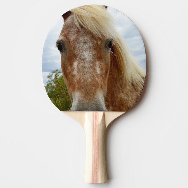 Sugar The Appaloosa Horse, Ping Pong Paddle (Front)