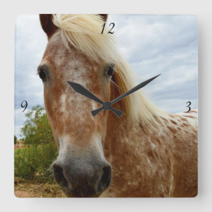 Sugar The Appaloosa Horse, Square Wall Clock. Clock