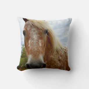 Sugar The Appaloosa Horse, Throw Cushion. Pillow