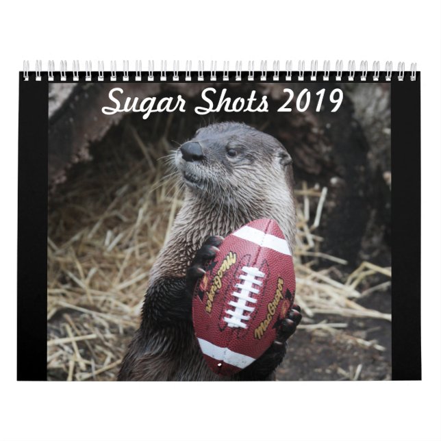 Sugar the Otter Calendar (Cover)