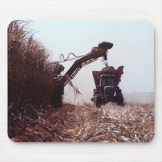 Sugarcane harvest mouse pad (Front)