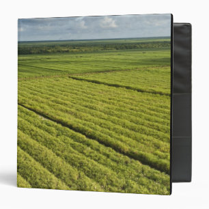 Sugarcane Plantations, Guyana Binder