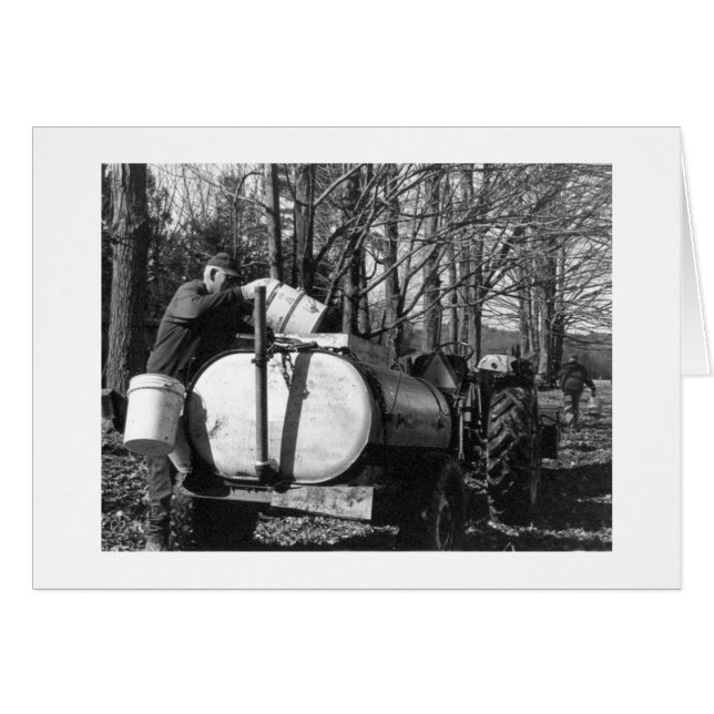 Sugaring Vermont (Devant horizontal)