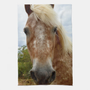 "Sugar's Stride: The Appaloosa's Grace" Kitchen Towel