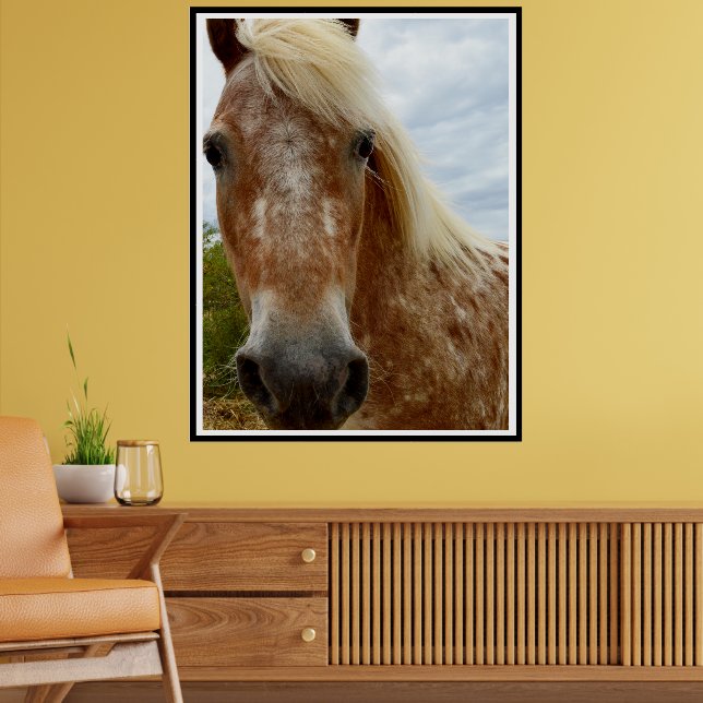 "Sugar's Stride: The Appaloosa's Grace" Poster (Living Room 2)