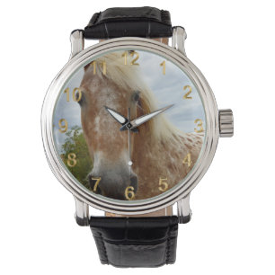 "Sugar's Stride: The Appaloosa's Grace" Watch
