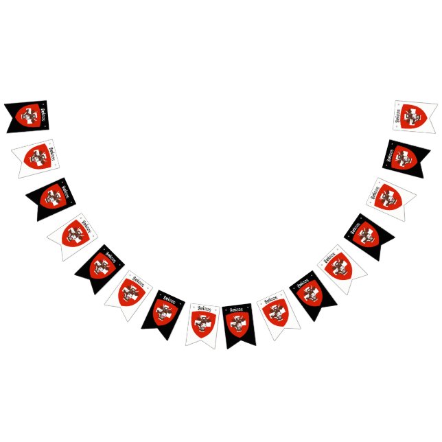 Suisse Party Bunting Banner (All)