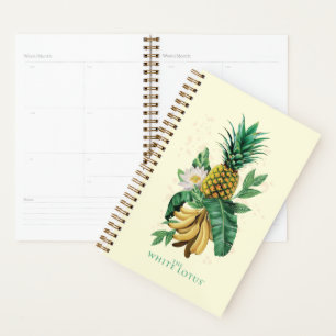 Suite ananas au White Lotus