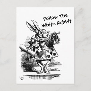 Suivez La Carte Postale White Rabbit CC0257