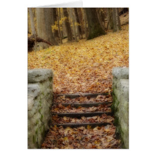 Suivez le chemin