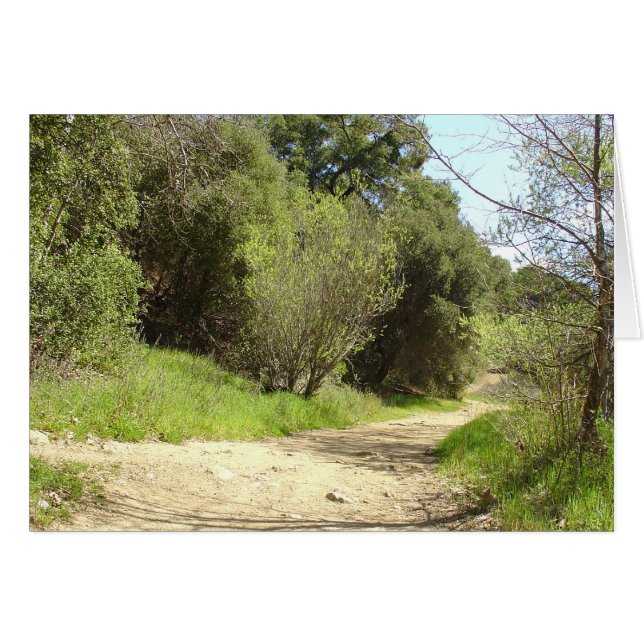 Suivez-moi (Devant horizontal)