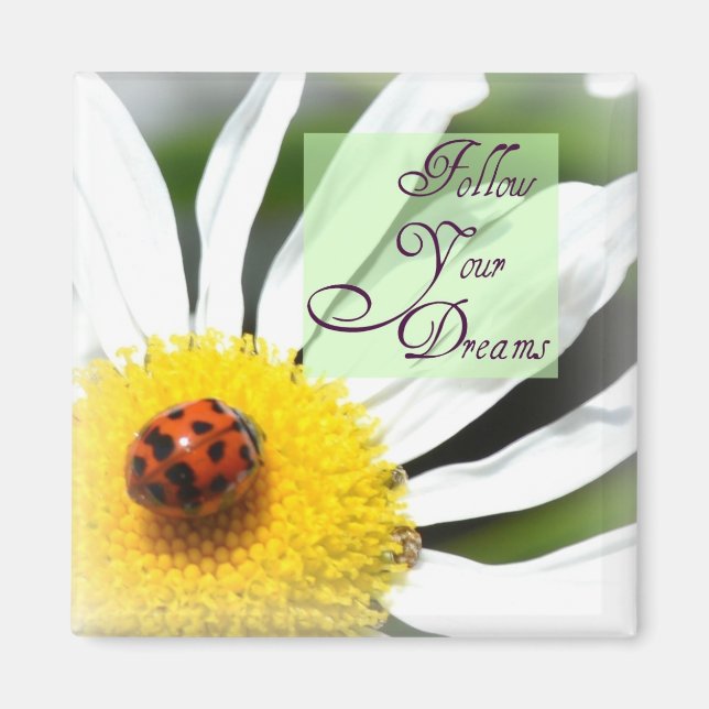Suivez vos Dreams Ladybug Magnet (Devant)