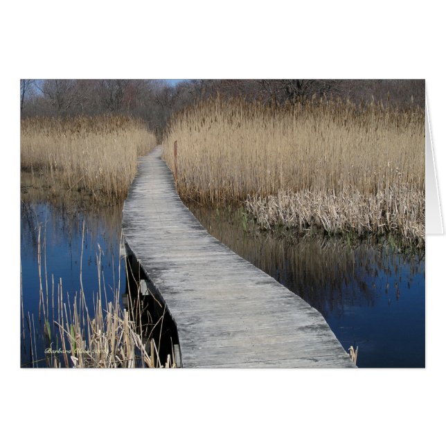 Suivez votre chemin : Plum Island, MA (Devant horizontal)