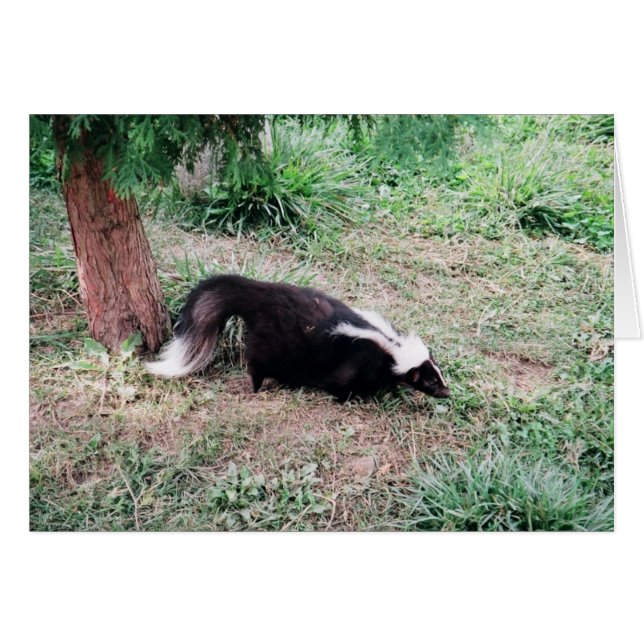 Sujet (Devant horizontal)