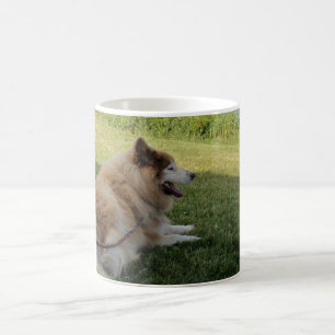 Suka Enjoying Cape George Coffee Mug
