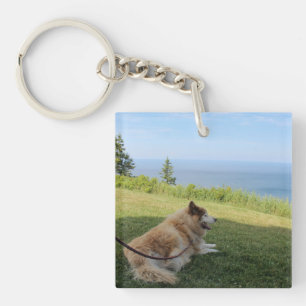 Suka Enjoying Cape George Keychain