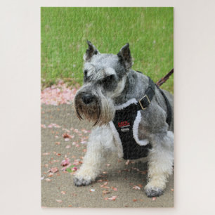 Suki Jigsaw Puzzle