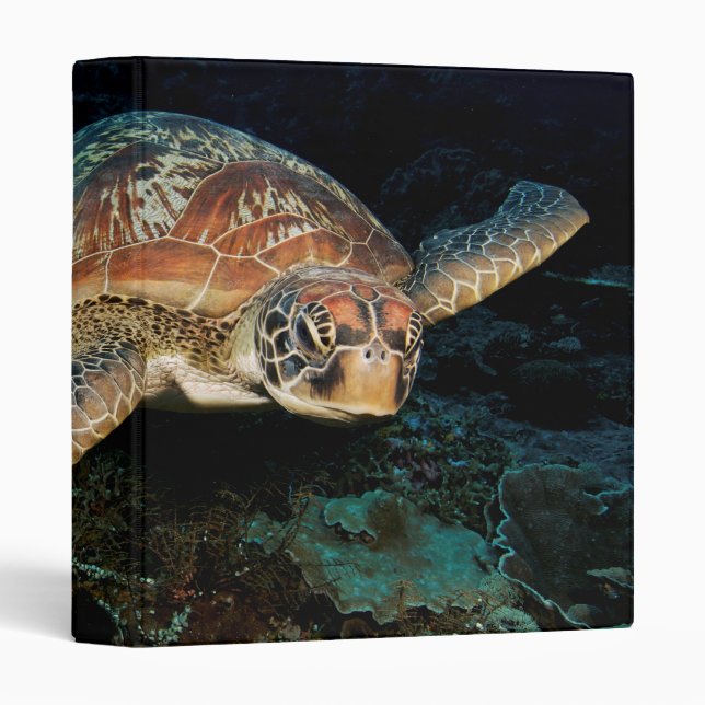 Sulawesi | Green Sea Turtle Binder (Front/Spine)