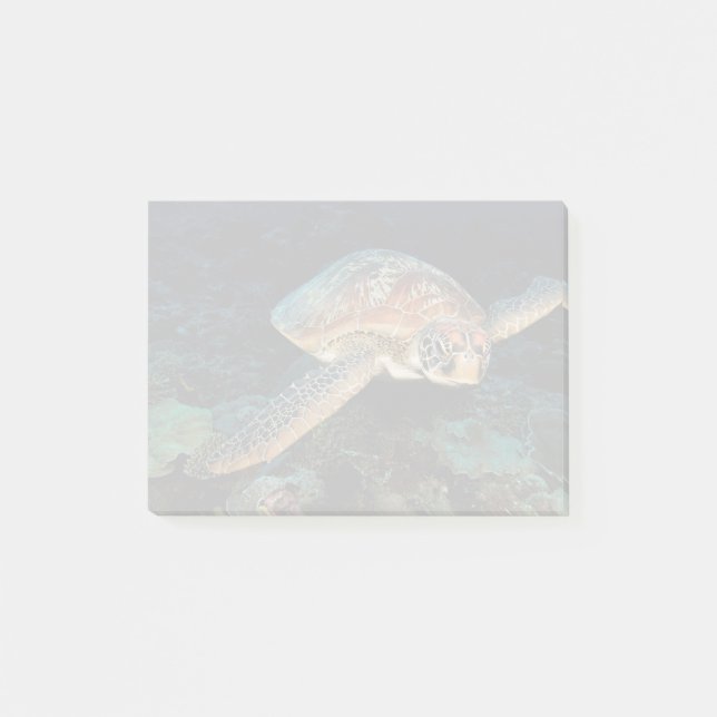 Sulawesi | Green Sea Turtle Post-it Notes (Front)