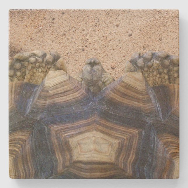 Sulcata Tortoise and Sand Magnet Stone Coaster (Front)