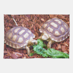 Sulcata Tortoise Hatchlings Kitchen Towel