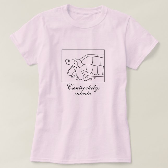 Sulcata Tortoise Shirt (box, black) (Design Front)