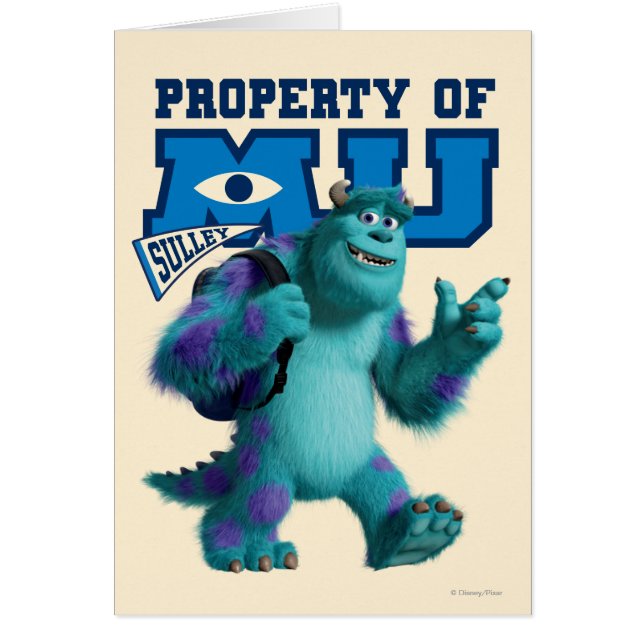 Sulley, propriété de MU (Devant)