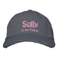 Sully is my Flyboy, US Airways, Flight 1549