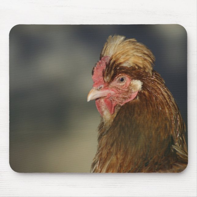 Sulmtaler Mouse Pad (Front)