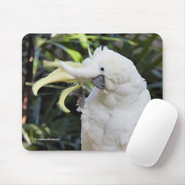 Sulphur-Crested Cockatoo Parrot Bird Waves Mouse Pad (With Mouse)
