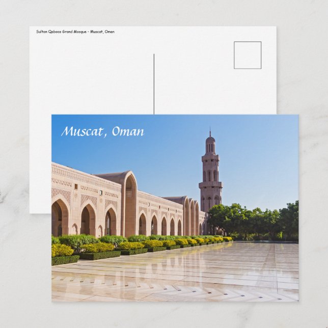 Sultan Qaboos Grand Mosque in Muscat, Oman Postcard (Front/Back)
