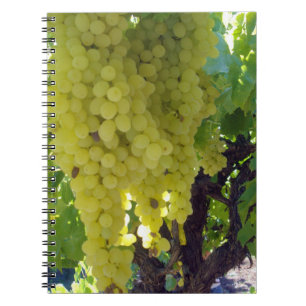 Sultana Grapes On A Grape Vine, Notebook