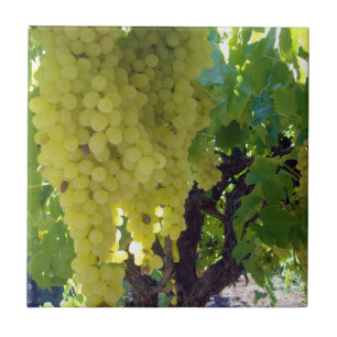 Sultana Grapes On A Grape Vine, Tile