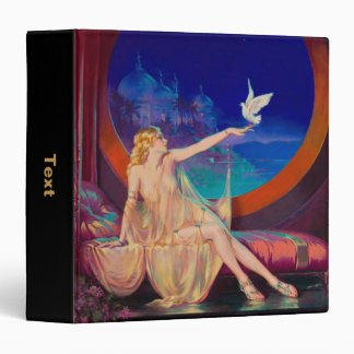 Sultana the Arabian Sultan's Concubine 1925 Binder