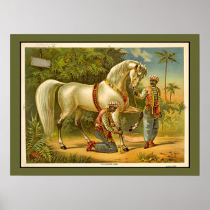Sultans Steed RARE VINTAGE POSTER Customized
