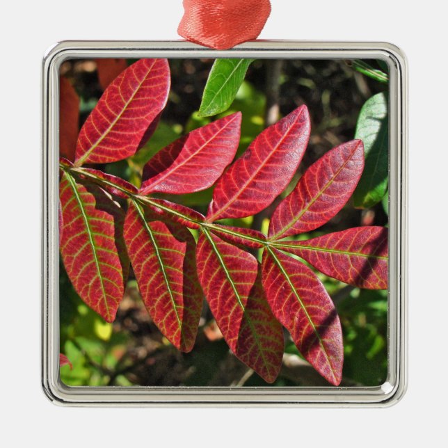 Sumac Leaves In Autumn Metal Ornament (Front)