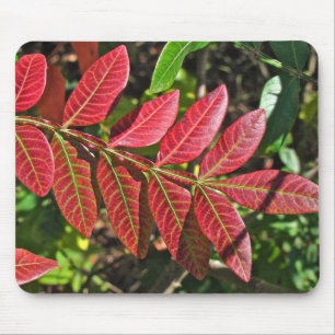 Sumac Leaves In Autumn Mouse Pad